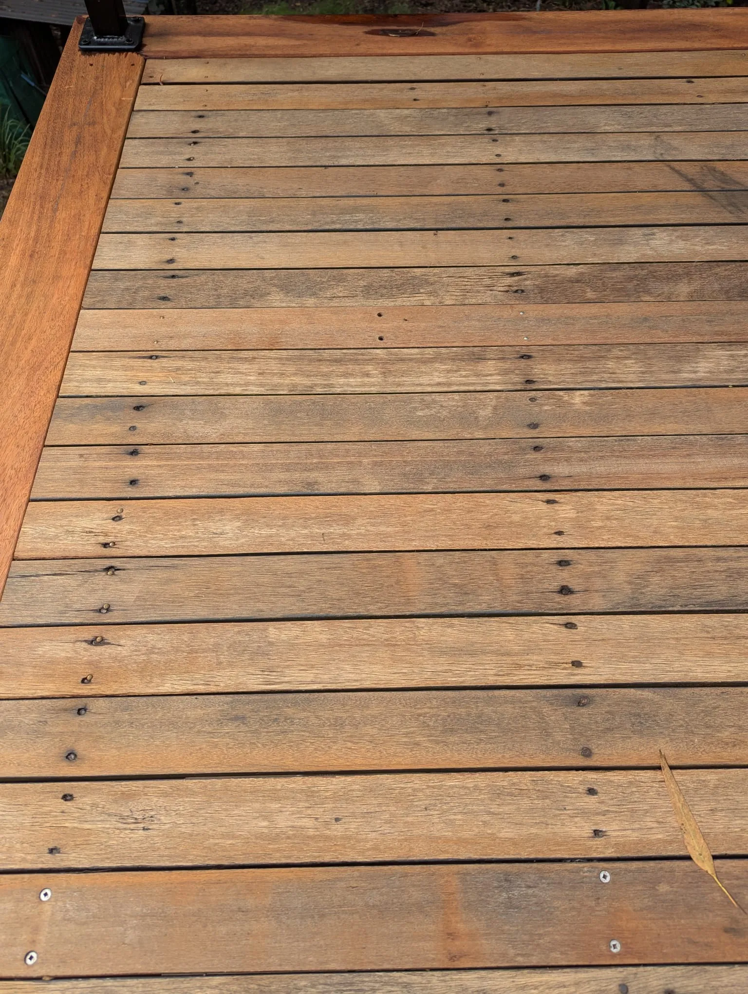 A hardwood deck freshly sanded back to bare timber, ready for oiling